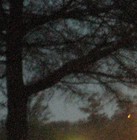 Picture for song 'Urgency at Twilight' by artist 'greenLeaf aka Alex Kim'