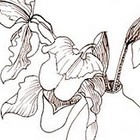Picture for song 'g-boy - sounds of nothing.mp3' by artist 'gud boy'