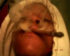 Picture for song 'COOL N DRE STYLE' by artist 'GUNNA GANG 2GZ'