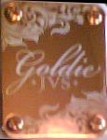 Picture for song 'Blues for Goldie' by artist 'HalfBlindLefty'
