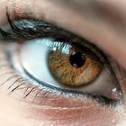 Picture for song 'PS I Love You (Cover)' by artist 'Hanging Chad'