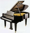Picture for song 'Piano PNK Beat' by artist 'Hardest Beats'