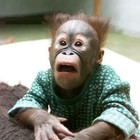 Picture for song 'What Have I Done (Emotional)' by artist 'Heated Beatz'