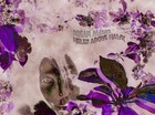 Picture for song 'The Essence' by artist 'Helen Adove Hawk'