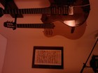 Picture for song 'Green and Golden - Ralph Towner' by artist 'Henrique'