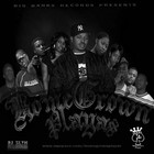 Picture for song 'I'm Comin' by artist 'HomeGrownPlayas'