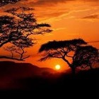 Picture for song 'Shine.mp3' by artist 'House Reverb'