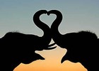 Picture for song 'In Love With You' by artist 'Humble Sounds Ent'