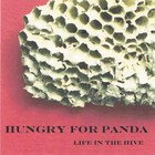 Picture for song 'Staring at Your Cloud' by artist 'Hungry for Panda'