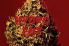 Picture for song 'Fuego(3dbeat213)' by artist 'HydroEnt3D'