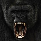 Picture for song 'TRUNK BANGER Instrumental *BANGER*' by artist 'Hyp3beast'