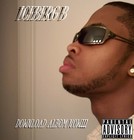 Picture for song 'Urban Branded' by artist 'Iceberg B'