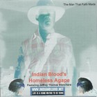 Picture for song 'Christmas In July' by artist 'Indian Blood'