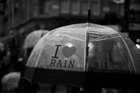 Picture for song 'Stand The Rain' by artist 'Intellectual Productions'