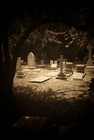 Picture for song 'She Likes Graveyards' by artist 'Jack Smith'