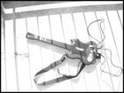 Picture for song 'Referee' by artist 'JamaicaKingz'
