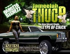 Picture for song 'LOST LIFE' by artist 'JAMEELAH(THUG PRINCESS)'