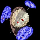 Picture for song 'A Place In The Sun' by artist 'James Alan Gourley'