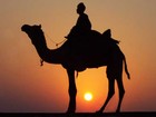 Picture for song 'Nomad Camel' by artist 'James Bradley'