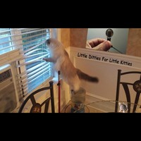 Picture for song 'Harry I Need A Job' by artist 'J C McDonald'