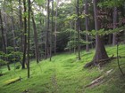 Picture for song 'LoST' by artist 'Jester'Smile'