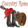 Picture for song 'Country Rose Interview With Jim Flynn' by artist 'Jim Flynn Songwriter'