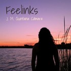 Picture for song 'Melancholic November' by artist 'J M Quintana Camara'