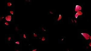 Picture for song 'Rose Petals' by artist 'Jody Awesome'