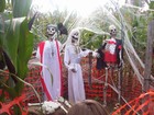 Picture for song 'Ghoul's Night Out' by artist 'John P Roche'