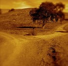 Picture for song 'Open Range' by artist 'John Stewart'