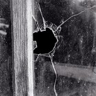 Picture for song 'don't expect better than the best' by artist 'John Vadas'