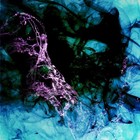 Picture for song 'Deep End (www.DivineTracks.com)' by artist 'Jurd Beats'