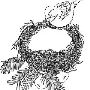 Picture for song 'What Can I Say' by artist 'Kaley Willow'