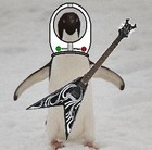Picture for song 'Thrash Penguins from Space' by artist 'Karate Implosion'