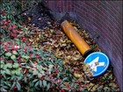 Picture for song 'Kd - Tijd' by artist 'kd0251'