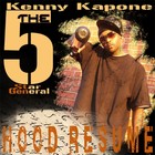 Picture for song 'Fall Back' by artist 'Kenny Kapone'