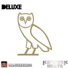 Picture for song '**SOLD** Deluxe' by artist 'Kevin Hues'