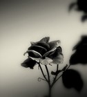 Picture for song 'KG & Dosia - Time Like These' by artist 'KG HEAVY'
