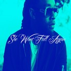 Picture for song 'She Wont Fall Again' by artist 'KID GENIUS TITO BEATS'