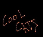 Picture for song 'Disapearing Painly' by artist 'Christian and the Cool Cats'