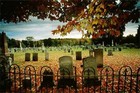 Picture for song 'Inevitability' by artist 'KillYourSelfNowBich'