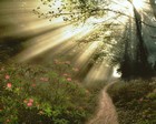 Picture for song 'Sunroad' by artist 'Klaatu (CT)'