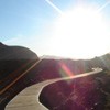 Picture for song 'go placidly' by artist 'koanotic'