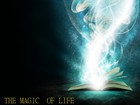 Picture for song 'The magic of life (Short Mix)' by artist 'konjura'