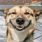 Picture for song 'RECOVERY - FREE DOWNLOAD' by artist 'KrackaTraxxx'