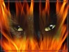 Picture for song 'Beauty' by artist 'Kuren'