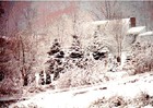 Picture for song 'Christmas Time (Vocal)' by artist 'Kurt Lewis Neufer'
