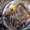 Picture for song 'OneForty Today' by artist 'Kurt Schulenburg'