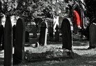 Picture for song 'The Eulogy' by artist 'Kxcell'
