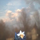 Picture for song 'thousands skipped' by artist 'labbor'